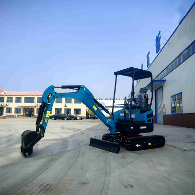 Pequeña excavadora de orugas